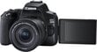 Canon EOS 250D (Black) + EF-S 18-55mm f/4-5.6 IS STM + EF 50mm f/1.8 STM cena un informācija | Digitālās fotokameras | 220.lv