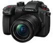 Panasonic Lumix G GH5 II (DC-GH5M2M) + Panasonic LUMIX G Vario 12-60mm f/3.5-5.6 Asph. Power O.I.S (H-FS12060) (Black) цена и информация | Digitālās fotokameras | 220.lv