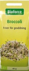 Broccoli - брокколи (семена для проращивания) 40 г цена и информация | Семена овощей, ягод | 220.lv