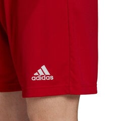 Sporta apavi vīriešiem Adidas, sarkani cena un informācija | Sporta apģērbs vīriešiem | 220.lv