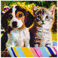 Dimanta mozaīka - suns un kaķis цена и информация | Dimantu mozaīkas | 220.lv