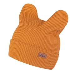 Хлопковая шапка TuTu на весну и осень, коричневая цена и информация | Шапки, перчатки, шарфы для мальчиков | 220.lv