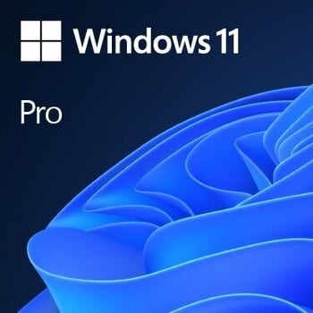 Microsoft Windows 11 Professional 64-bit OEM ENG цена и информация | Операционные системы | 220.lv