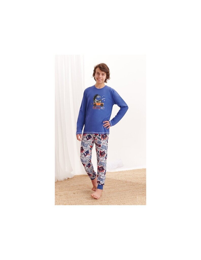 Pidžama Taro 1036 AW20 цена и информация | Zēnu pidžamas, halāti | 220.lv