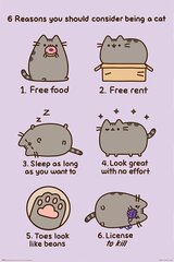 Pusheen Reasons to be a Cat — plakāts 61x91,5 cm cena un informācija | Gleznas | 220.lv