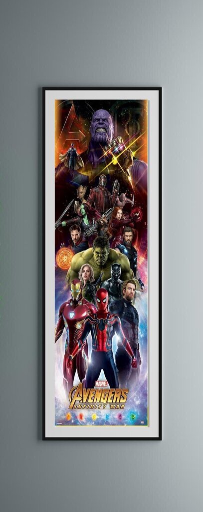 Avengers Infinity War Heroes - plakāts 53x158 cm cena un informācija | Gleznas | 220.lv