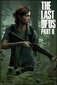 The Last of Us 2 Ellie — plakāts 61x91,5 cm cena un informācija | Gleznas | 220.lv