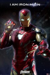 Avengers Endgame Dzelzs vīrs - plakāts 61x91,5 cm цена и информация | Картины | 220.lv