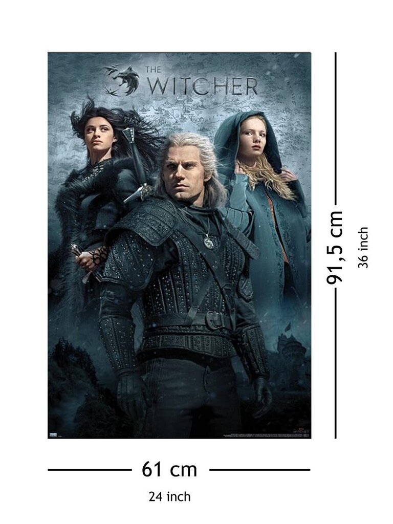 The Witcher Heroes - plakāts 61x91,5 cm cena un informācija | Datorspēļu suvenīri | 220.lv
