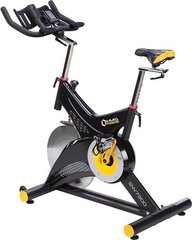 Велотренажер HMS SW7200 Spin Bike цена и информация | Велотренажеры | 220.lv