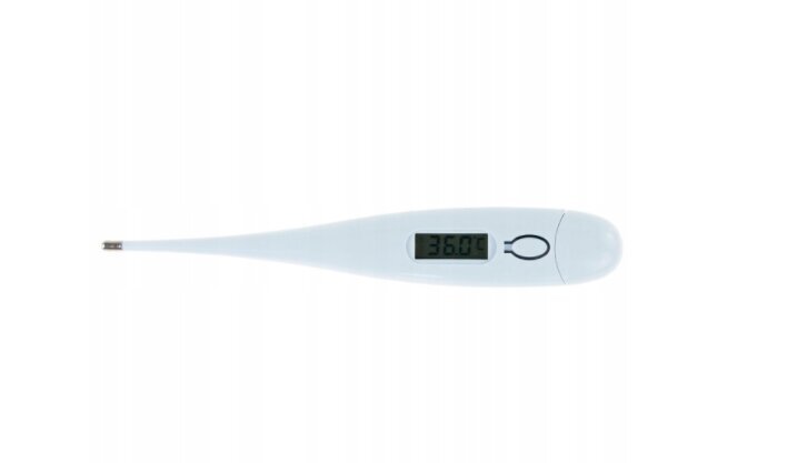 VrDigitalThermometer 1 cena un informācija | Termometri | 220.lv