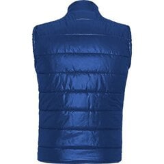 Vīriešu veste MONTANA zils cena un informācija | Vīriešu vestes | 220.lv