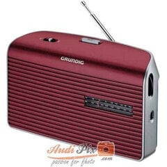 Grundig Music 60 цена и информация | Радиоприемники и будильники | 220.lv