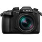 Panasonic Lumix G DC-GH5L + Panasonic LEICA DG VARIO-ELMARIT 12-60mm цена и информация | Digitālās fotokameras | 220.lv