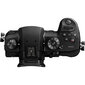 Panasonic Lumix G DC-GH5L + Panasonic LEICA DG VARIO-ELMARIT 12-60mm cena un informācija | Digitālās fotokameras | 220.lv