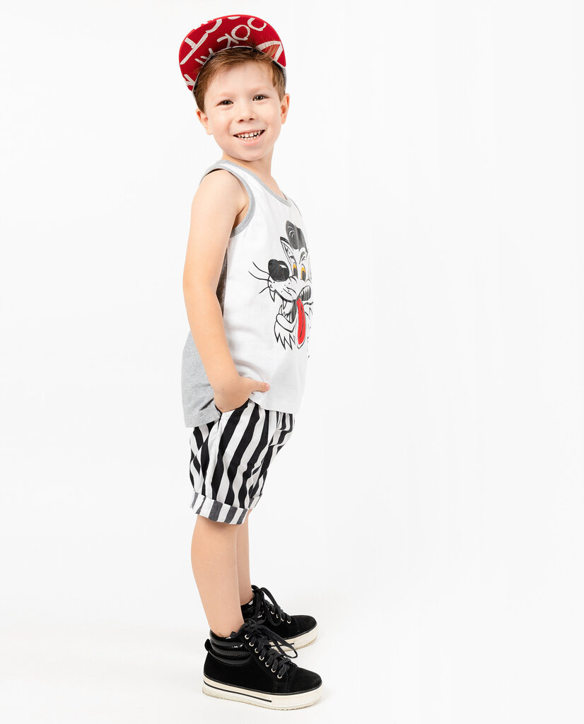T-krekls ar apdruku zēniem Gulliver, pelēks 98 cm цена и информация | Zēnu krekli | 220.lv