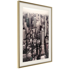 Plakāts - New York from a Bird's Eye View cena un informācija | Gleznas | 220.lv