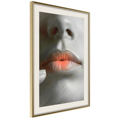 Plakāts - Ombre Lips cena un informācija | Gleznas | 220.lv