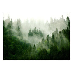 Fototapetes - Mountain Forest (Green) cena un informācija | Fototapetes | 220.lv