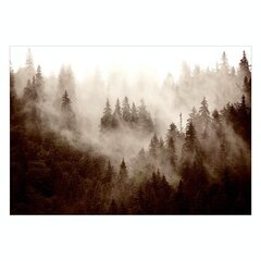 Фотообои - Mountain Forest (Sepia) цена и информация | Фотообои | 220.lv