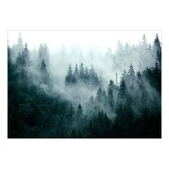 Фотообои - Mountain Forest (Dark Green) цена и информация | Фотообои | 220.lv