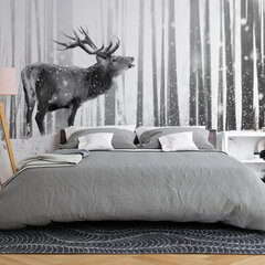 Фотообои - Deer in the Snow (Black and White) цена и информация | Фотообои | 220.lv