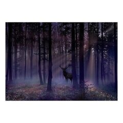 Fototapetes - Mystical Forest - Second Variant, 98x70 cena un informācija | Fototapetes | 220.lv