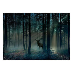 Фотообои - Mystical Forest - Third Variant цена и информация | Фотообои | 220.lv