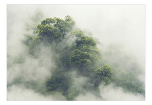 Фотообои - Foggy Amazon, 400x280 kaina ir informacija | Фотообои | 220.lv