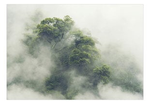 Fototapetes - Foggy Amazon, 98x70 cena un informācija | Fototapetes | 220.lv