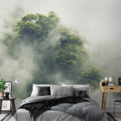 Фотообои - Foggy Amazon, 245x175 цена и информация | Фотообои | 220.lv