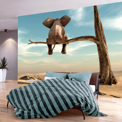 Fototapetes - Elephant on the Tree, 343x245 cena un informācija | Fototapetes | 220.lv