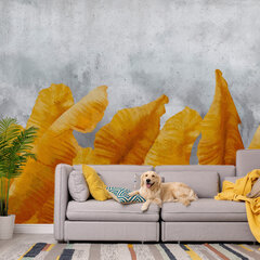 Fototapetes - Banana Leaves, 150x105 cena un informācija | Fototapetes | 220.lv