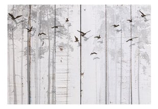 Фотообои - Birds on Boards, 350x245 цена и информация | Фотообои | 220.lv