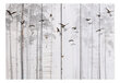 Fototapetes - Birds on Boards, 350x245 цена и информация | Fototapetes | 220.lv