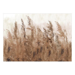 Fototapetes - Tall Grasses - Brown, 98x70 cena un informācija | Fototapetes | 220.lv