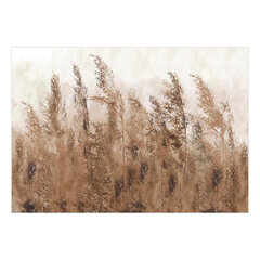 Fototapetes - Tall Grasses - Brown, 392x280 cena un informācija | Fototapetes | 220.lv