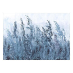 Фотообои - Tall Grasses - Grey, 98x70 цена и информация | Фотообои | 220.lv