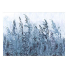 Fototapetes - Tall Grasses - Grey, 441x315 cena un informācija | Fototapetes | 220.lv