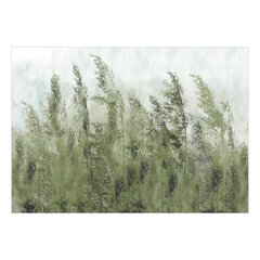 Fototapetes - Tall Grasses - Green, 245x175 cena un informācija | Fototapetes | 220.lv