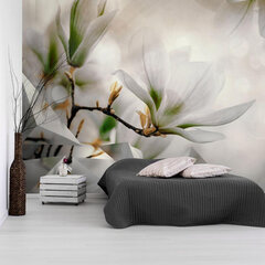 Фотообои - Subtle Magnolias - Second Variant цена и информация | Фотообои | 220.lv