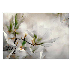 Fototapetes - Subtle Magnolias - Second Variant cena un informācija | Fototapetes | 220.lv