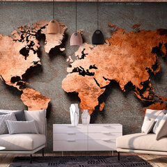 Фотообои - Copper Map, 98x70 цена и информация | Фотообои | 220.lv