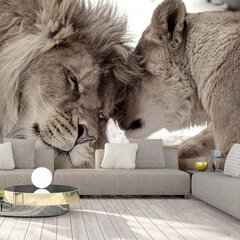 Фотообои - Lion Tenderness (Sepia), 98x70 цена и информация | Фотообои | 220.lv