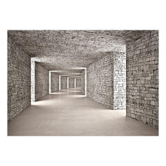 Фотообои - Mysterious Tunnel, 147x105 цена и информация | Фотообои | 220.lv