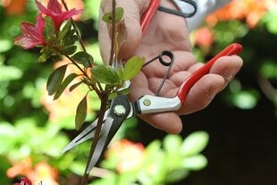 Садовые ножницы Vine Darlac цена и информация | Садовые инструменты | 220.lv