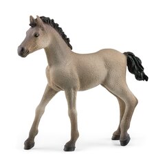 Креольский жеребенок Schleich Horse Club цена и информация | Игрушки для девочек | 220.lv