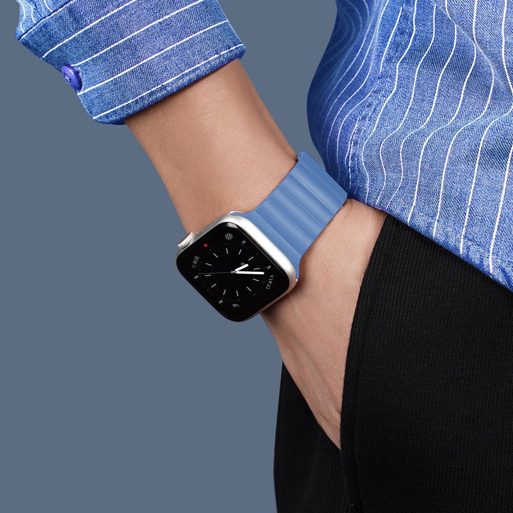 Dux Ducis magnētiskā pulksteņa siksniņa Apple Watch 7 / 6 / 5 / 4 / 3 / 2 / SE 45 / 44 / 42mm, zila cena un informācija | Viedpulksteņu un viedo aproču aksesuāri | 220.lv