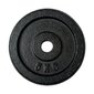 Čuguna 30 mm svaru disks 5 kg, FitNord cena un informācija | Svari, hanteles, stieņi | 220.lv