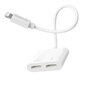 OTG adapteris / HUB Lightning (Apple) to 2 x Lightning (Apple), Borofone BV11, balts cena un informācija | Adapteri un USB centrmezgli | 220.lv